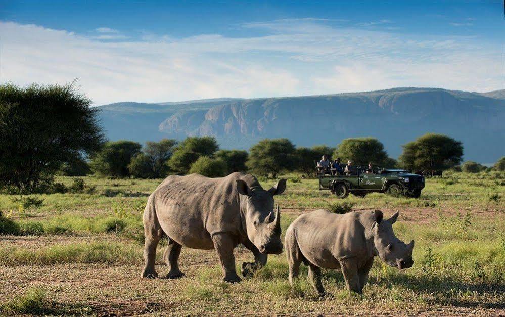 Marataba Safari Co Hotel Marakele National Park Buitenkant foto